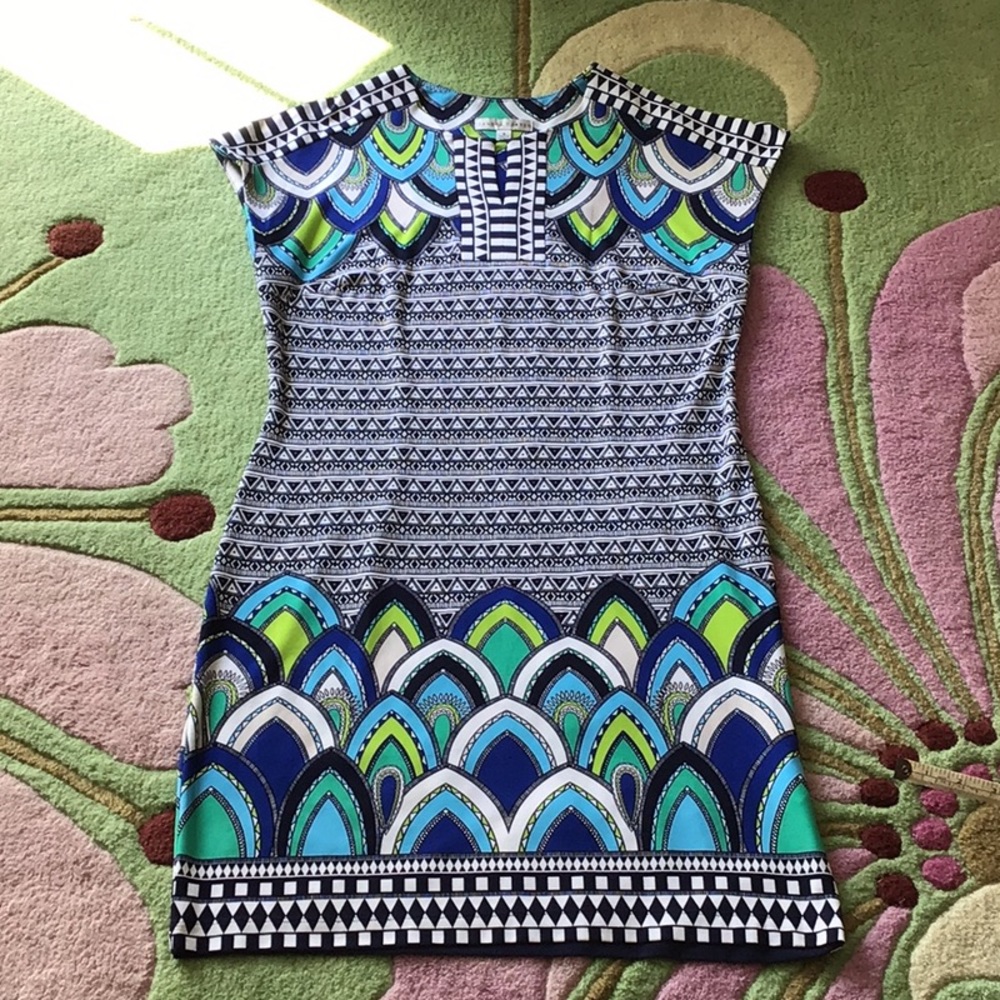 Sandra Darren peacock colors bold print dress
